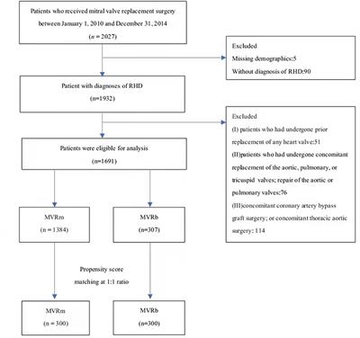 Bioprosthetic vs. Mechanical Mitral Valve Replacement for Rheumatic Heart Disease in Patients Aged 50–70 Years